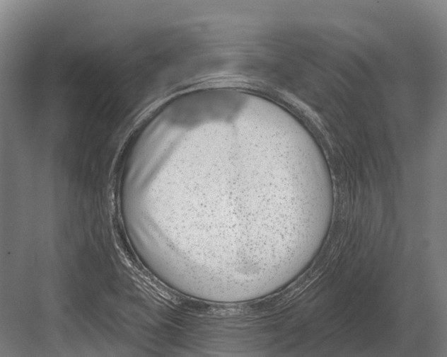 X0000081581415200702121436