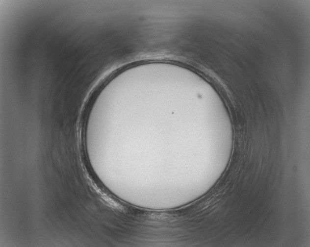 X0000081581416200702121436