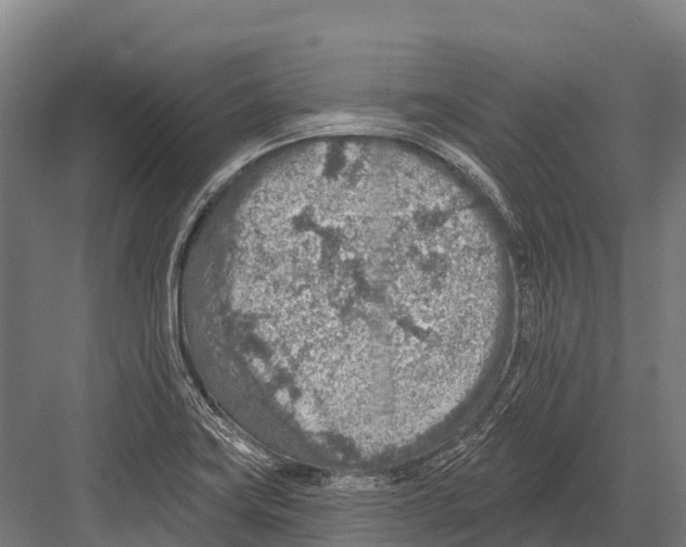 X0000081581419200702121436