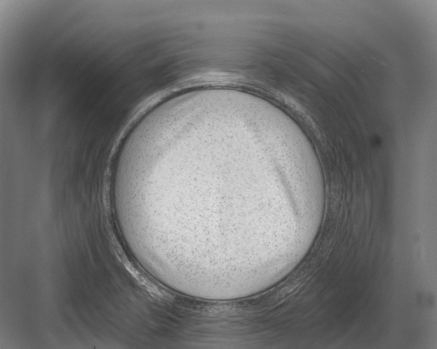 X0000081581421200702121436