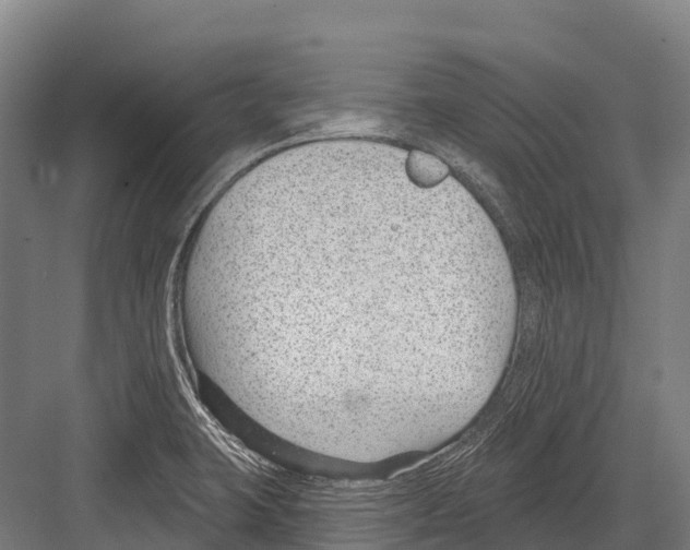 X0000081581423200702121436