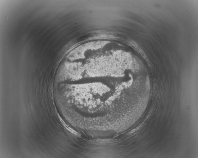 X0000081581425200702121436