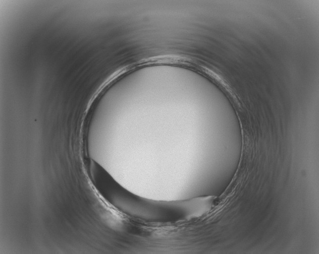 X0000081581426200702121436