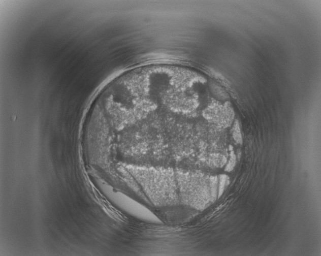 X0000081581427200702121436