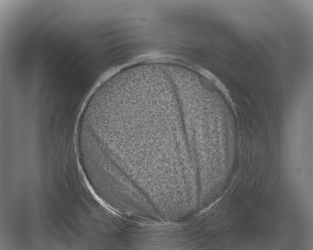 X0000081581429200702121436