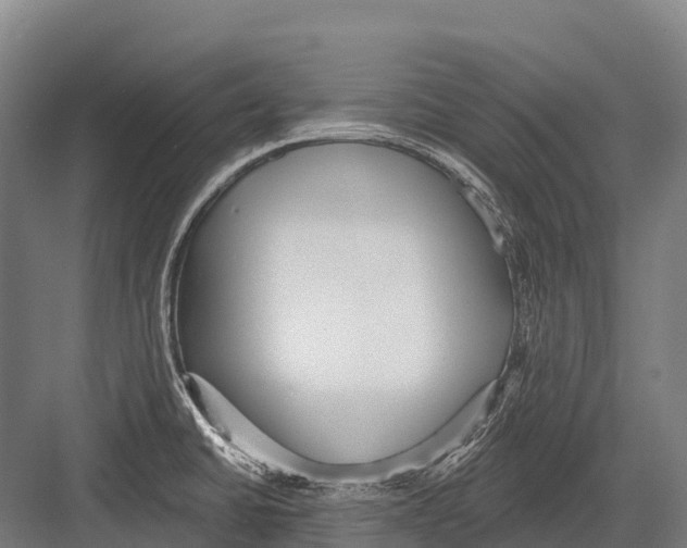 X0000081581430200702121436