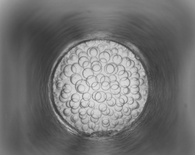 X0000081581432200702121436