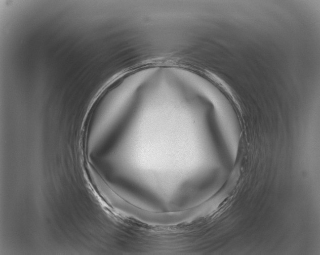 X0000081581434200702121436