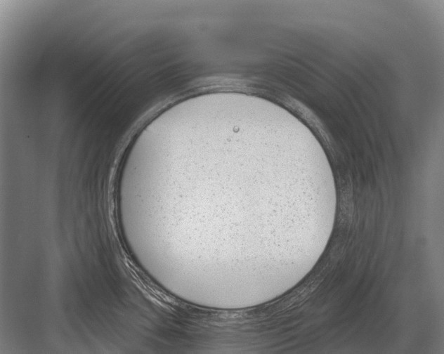 X0000081581435200702121436