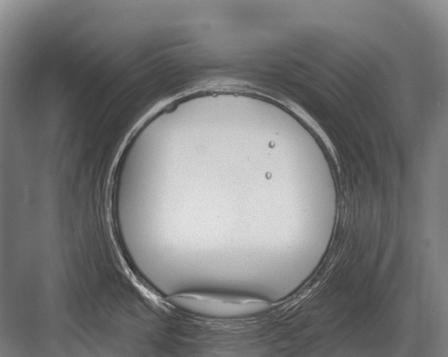 X0000081581437200702121436