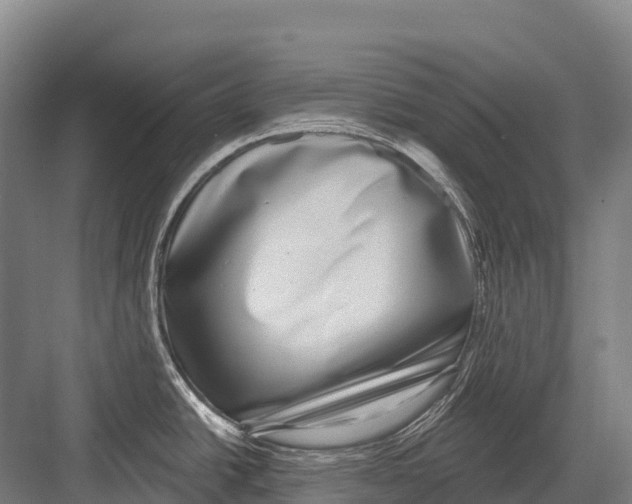 X0000081581438200702121436