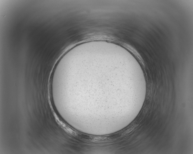 X0000081581439200702121436