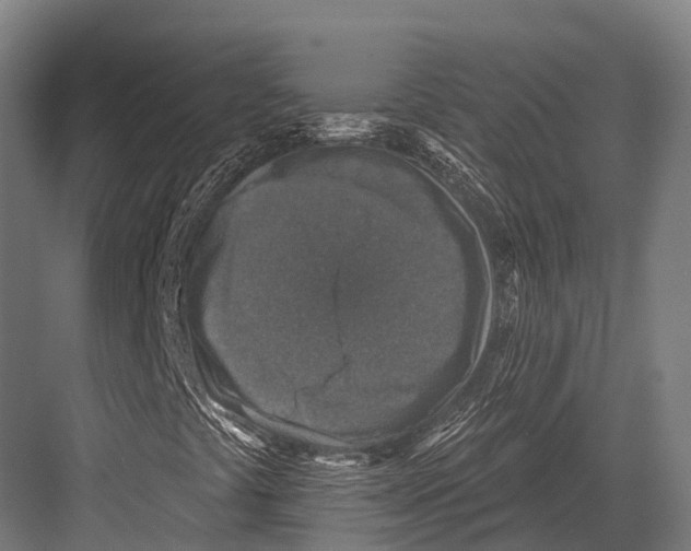 X0000081581441200702121435