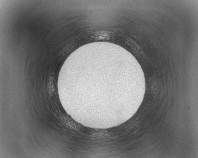 X0000081581442200702121435