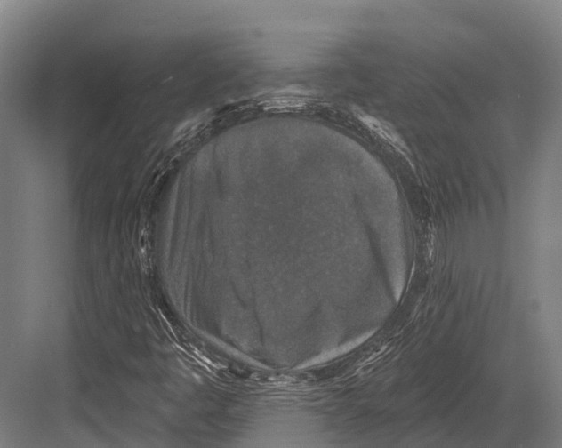 X0000081581445200702121435