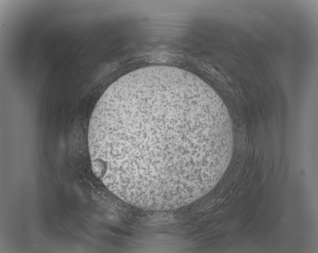 X0000081581446200702121435