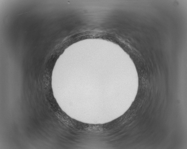 X0000081581447200702121435