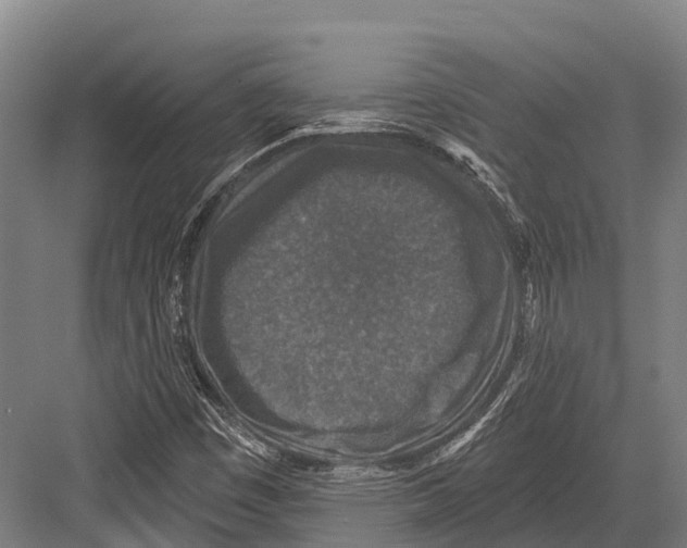 X0000081581449200702121435