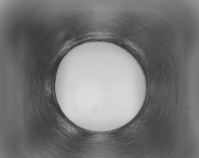 X0000081581451200702121435