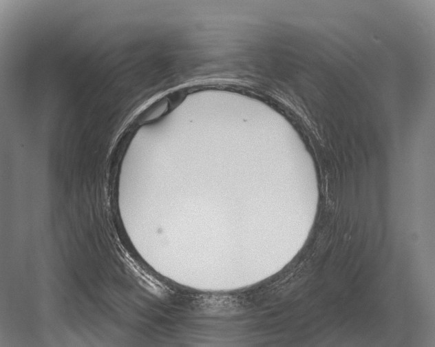 X0000081581452200702121435