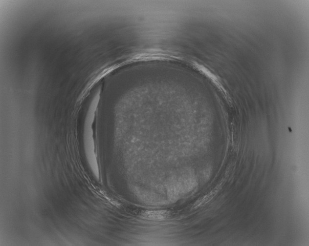 X0000081581453200702121435