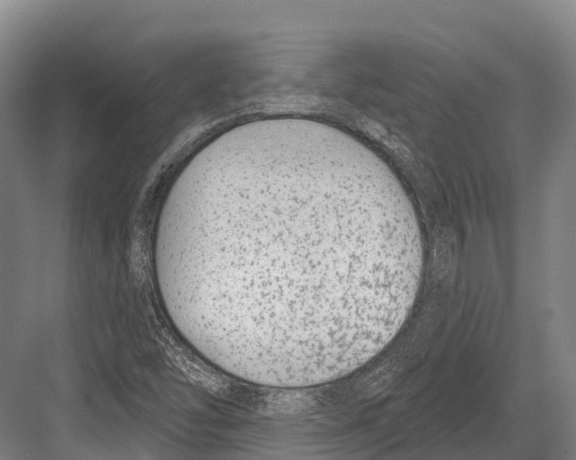 X0000081581454200702121435