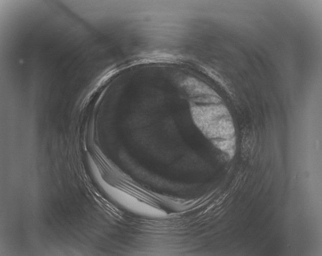 X0000081581455200702121435