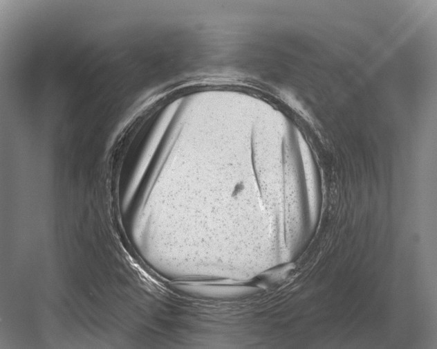 X0000081581456200702121435