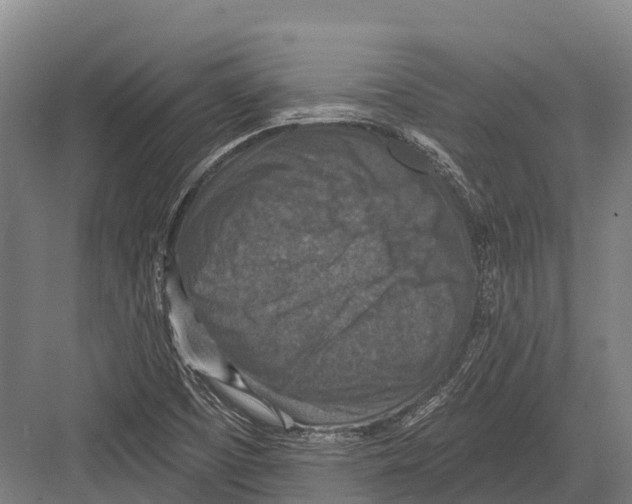 X0000081581457200702121435