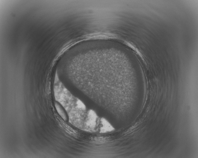 X0000081581459200702121435