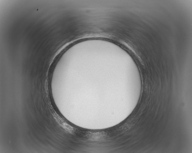 X0000081581460200702121435