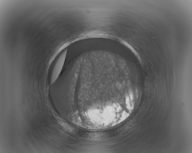 X0000081581461200702121435