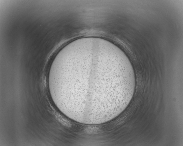 X0000081581462200702121435