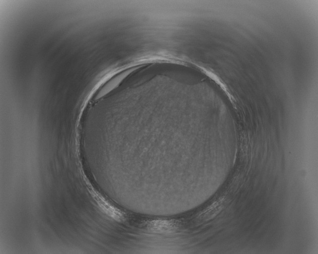 X0000081581463200702121435