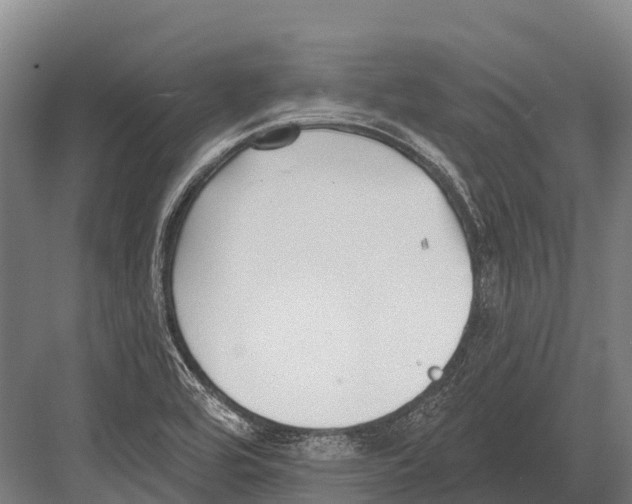 X0000081581464200702121435