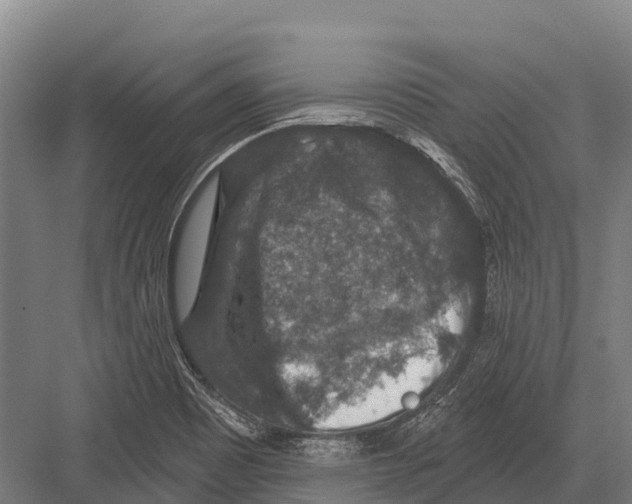 X0000081581465200702121435