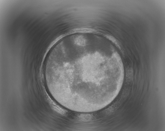 X0000081581466200702121435