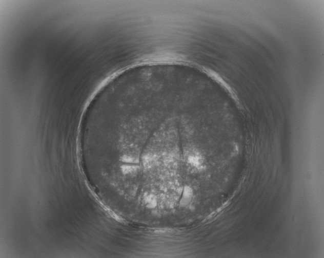 X0000081581469200702121435