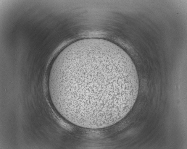 X0000081581470200702121435