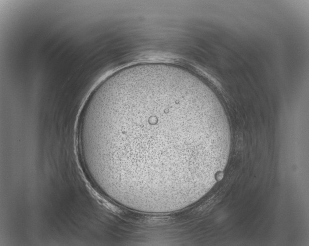 X0000081581471200702121435