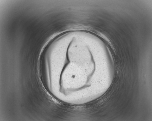 X0000081581472200702121435