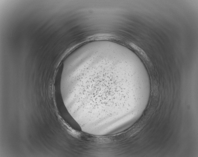 X0000081581473200702121435