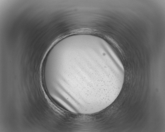 X0000081581475200702121435