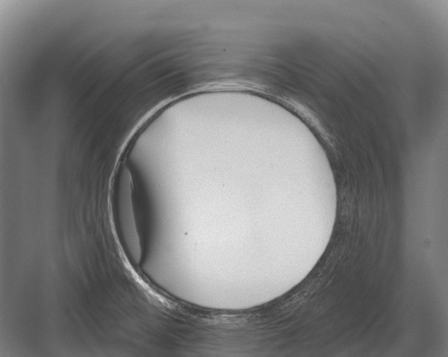 X0000081581476200702121435