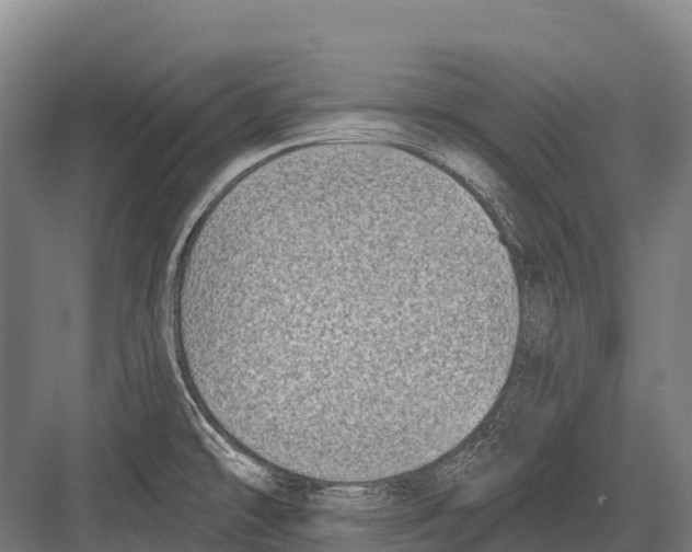 X0000081581478200702121435