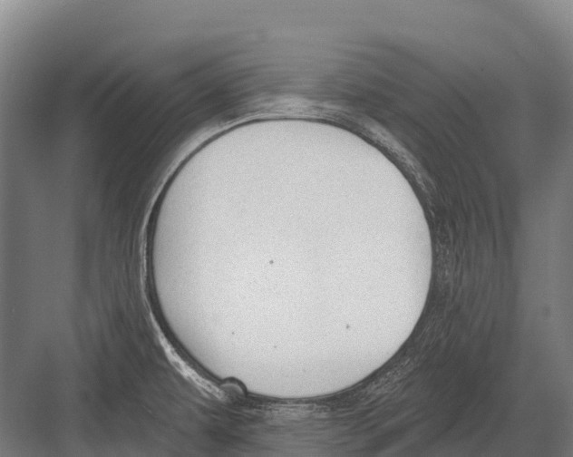 X0000081581479200702121435