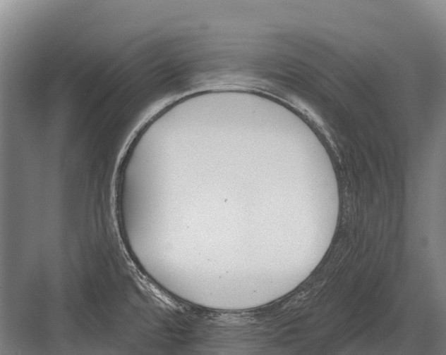 X0000081581480200702121435