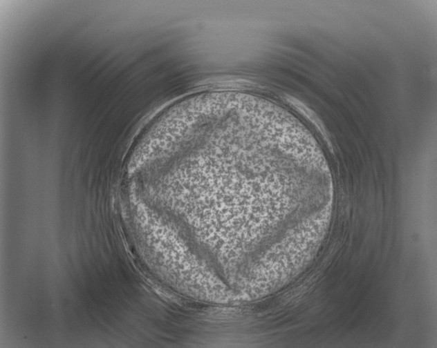 X0000081581481200702121435