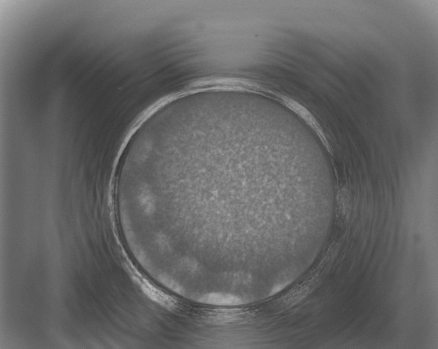 X0000081581482200702121435