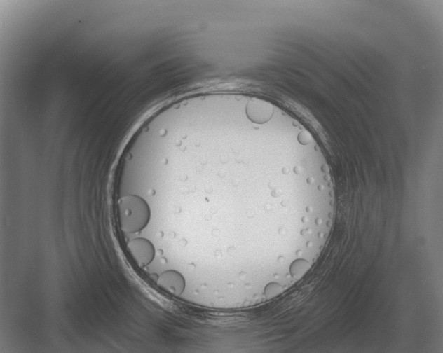 X0000081581483200702121435